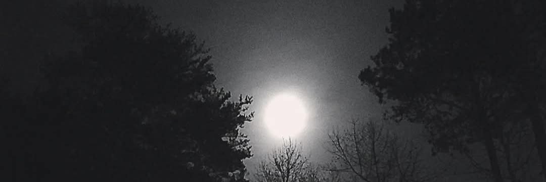 ladida_86's profile banner image