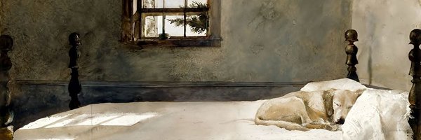 skiearle Profile Banner