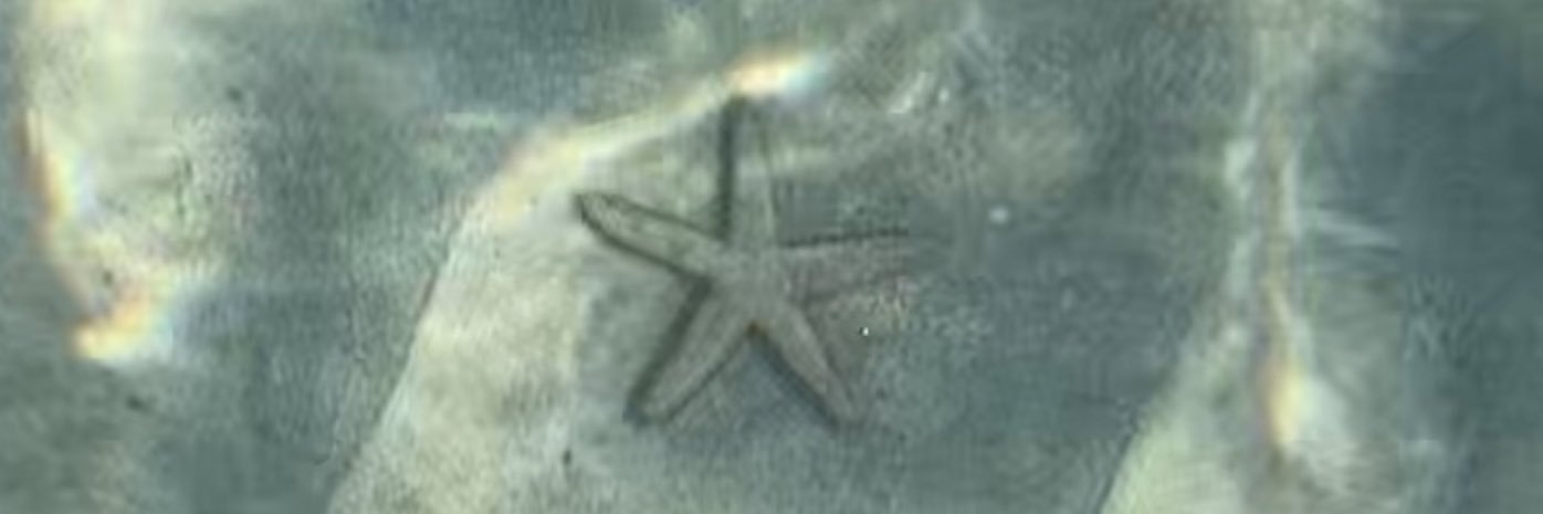 gemc23's profile banner image