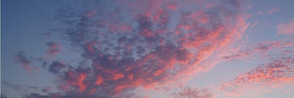 IrenotaTurner Profile Banner