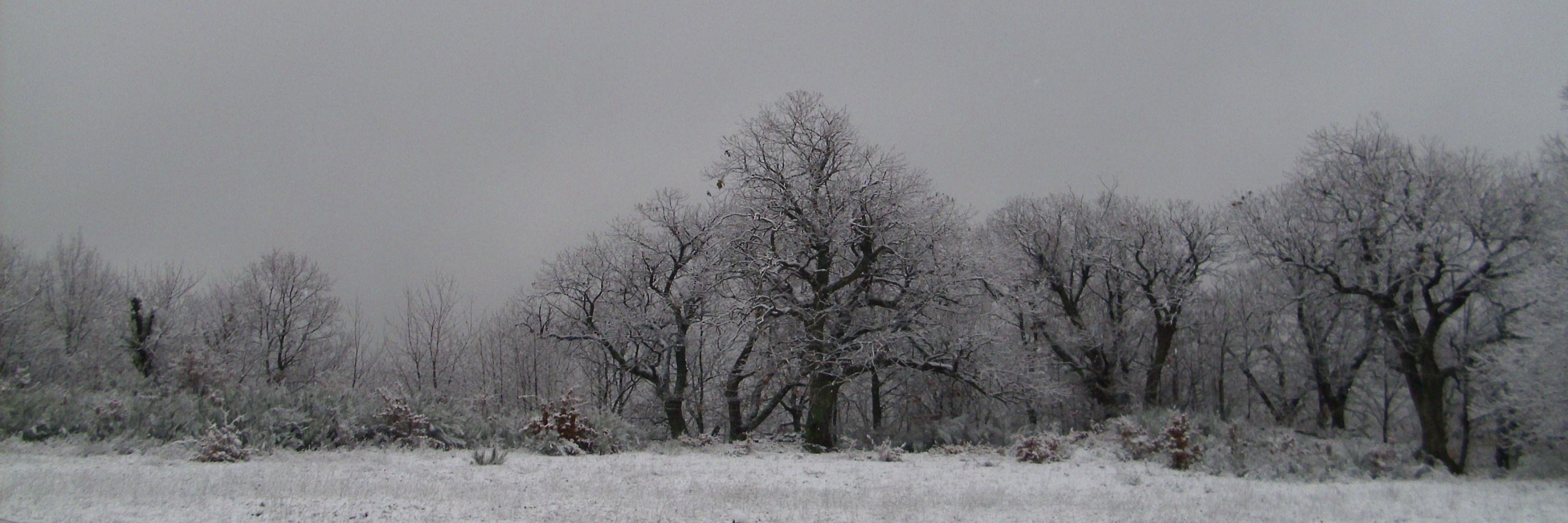 luaterini's profile banner image