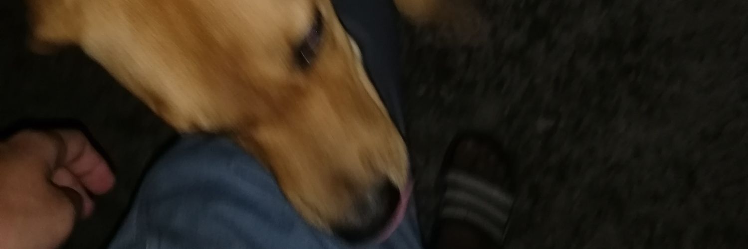 DomeDhamma's profile banner image