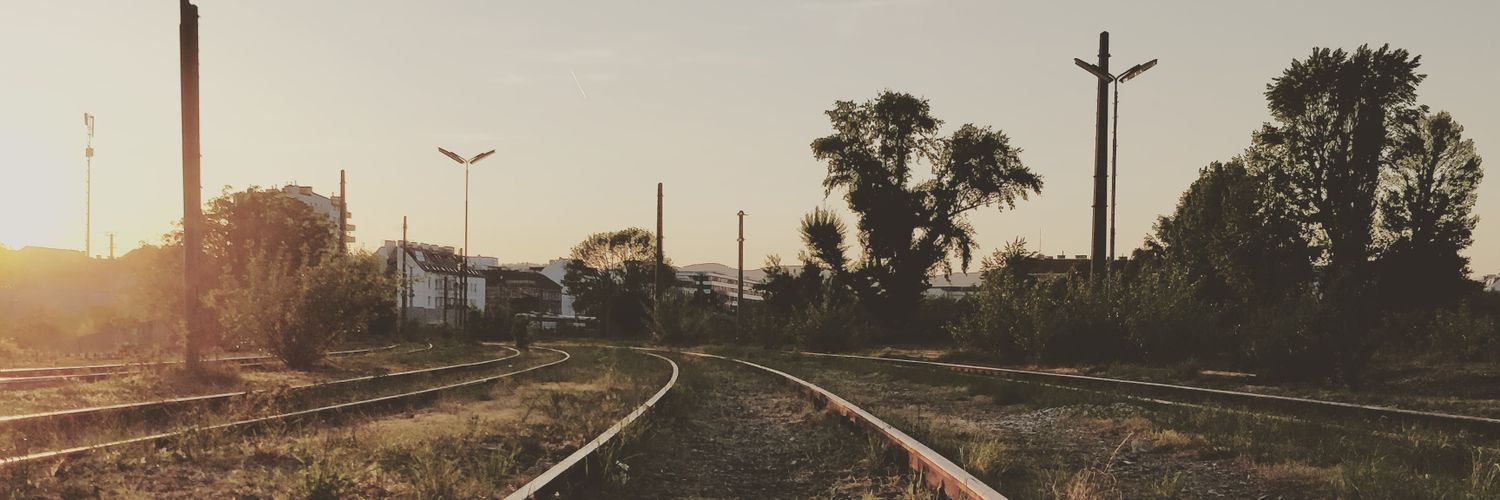 Patrick Krammer banner