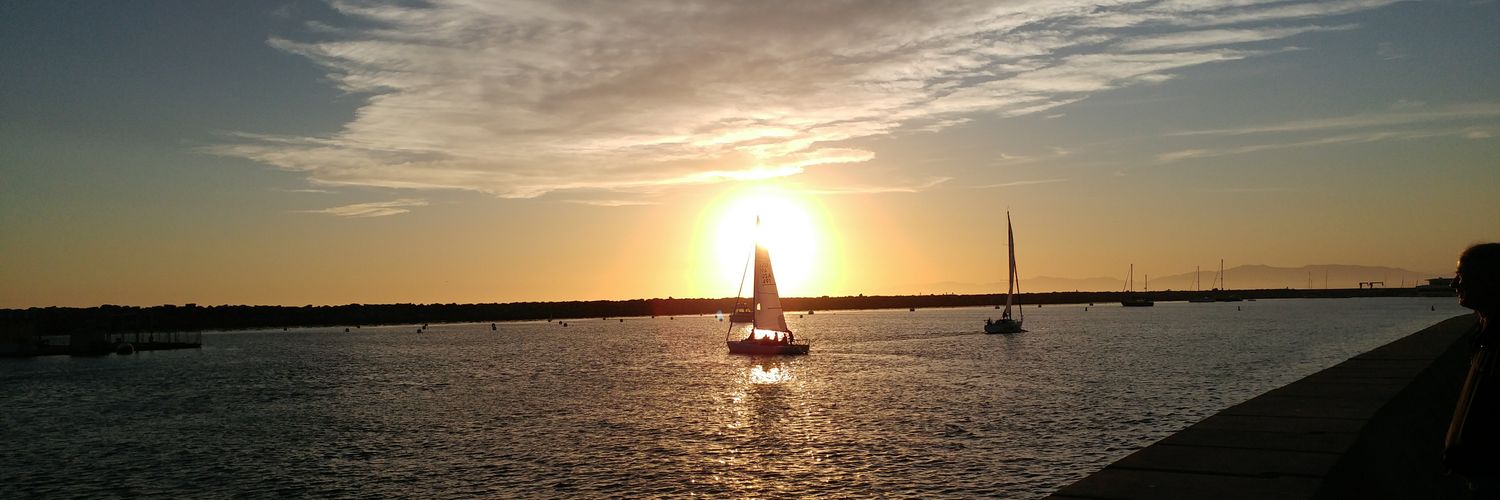 Nicholas Parleir banner