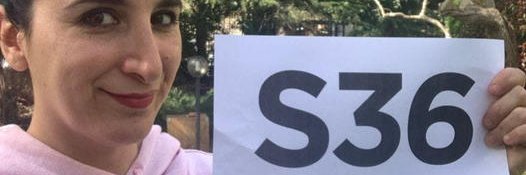 Beatrice Brignone banner