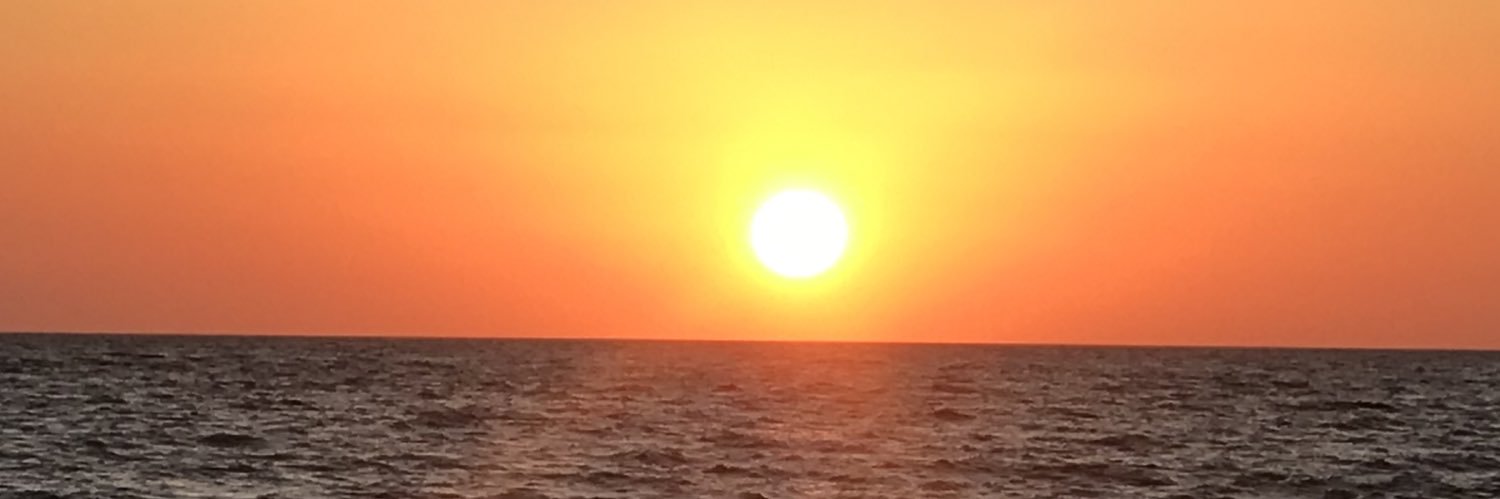 leventerturk's profile banner image