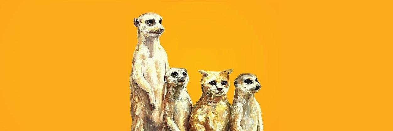 cemuslucem's profile banner image