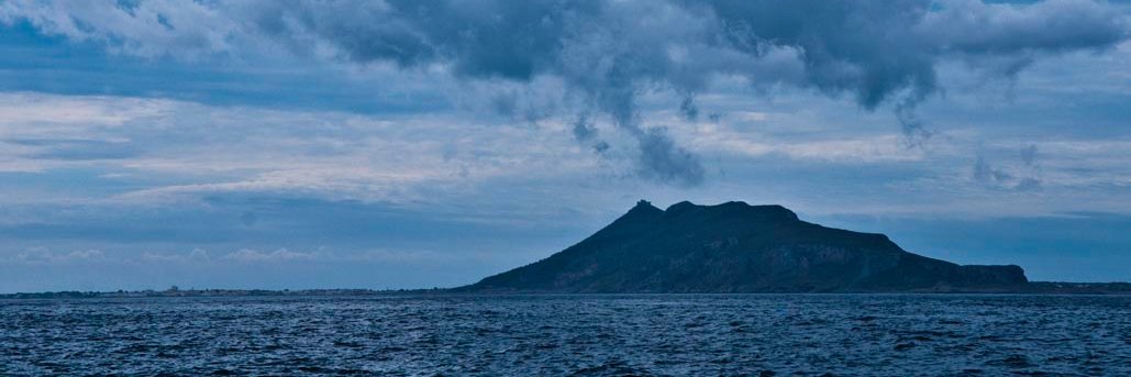 glbaronchelli's profile banner image