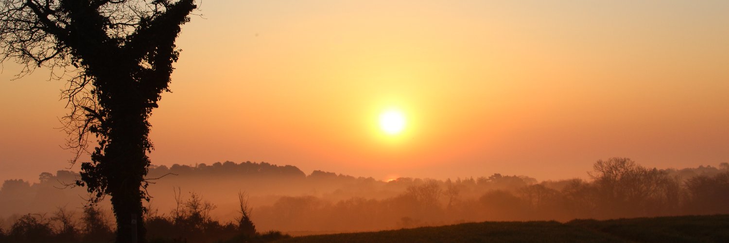 BotJaffray's profile banner image