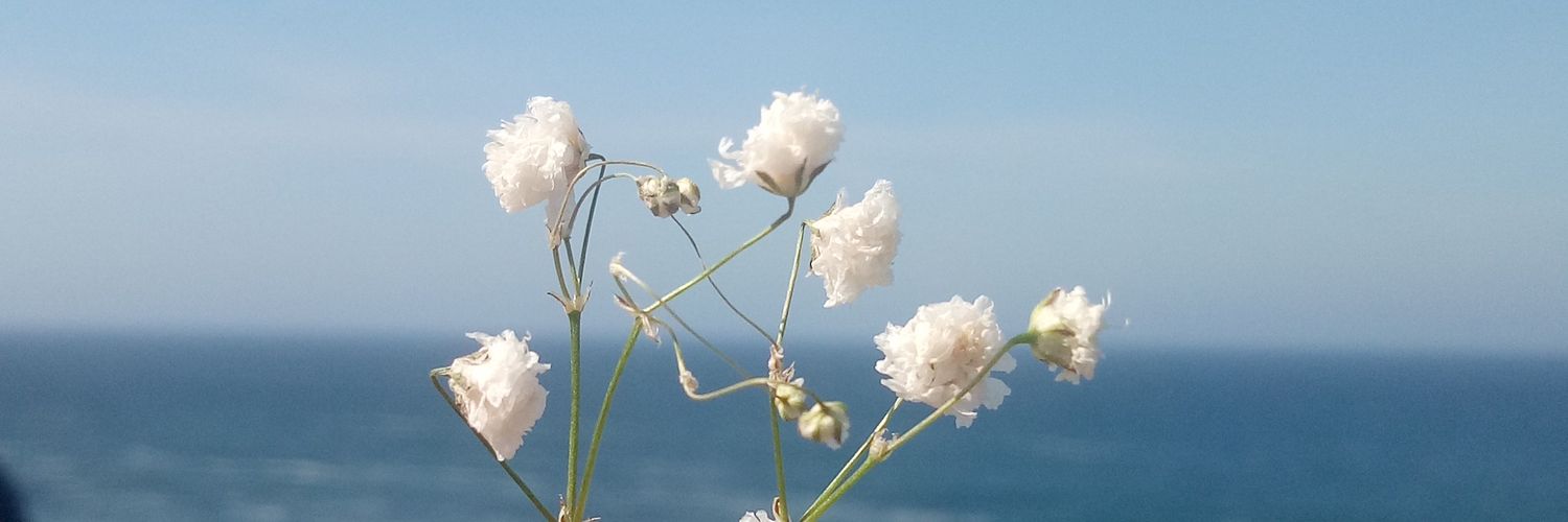 asrify's profile banner image