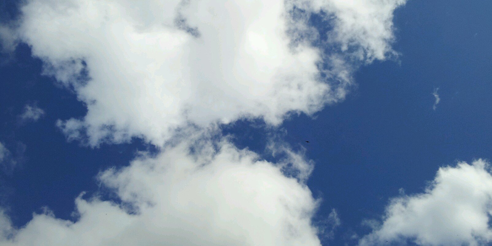 _rendboy's profile banner image