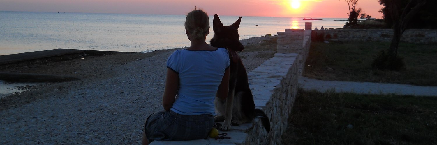 Lola 🇩🇪💙📉📈 banner