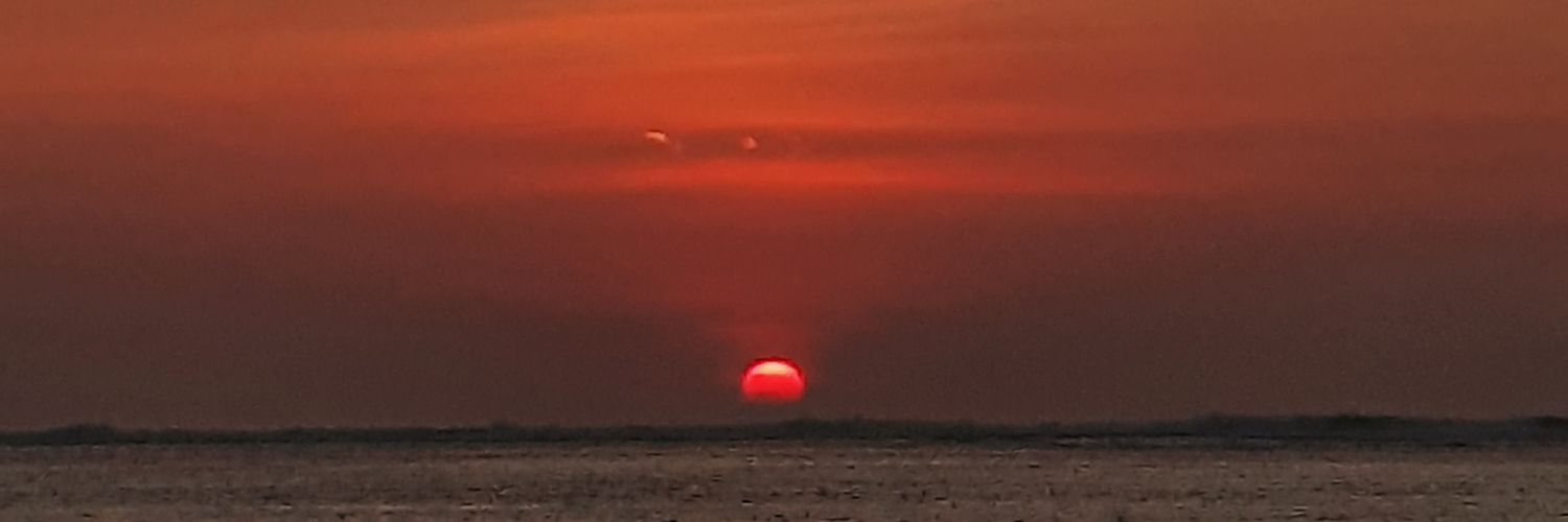 txtdritheo's profile banner image