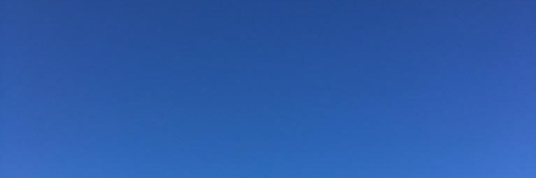 Javier banner