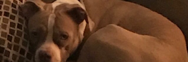 Sliiiick's profile banner image