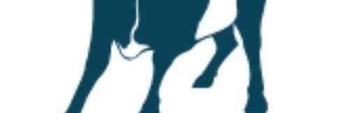 balaraje's profile banner image