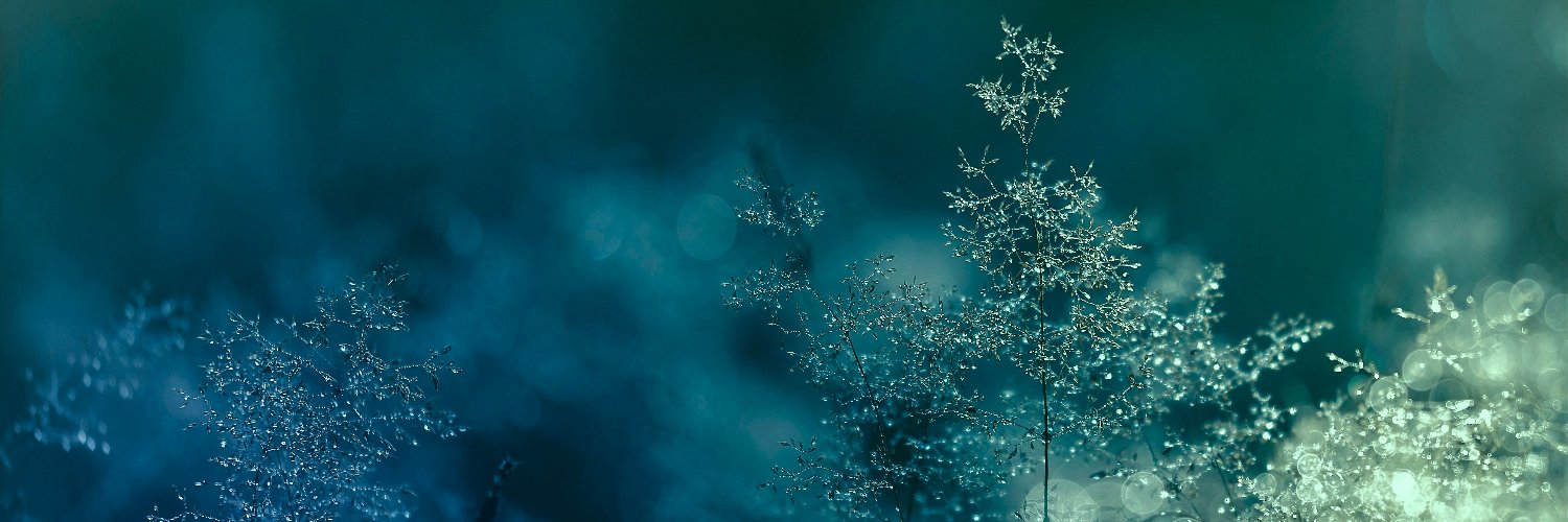 fde_be's profile banner image