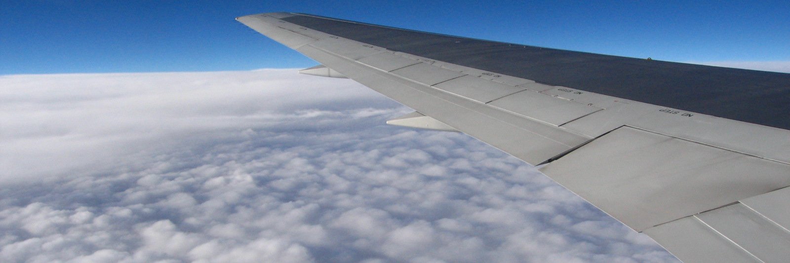 GoGoHappy2000's profile banner image