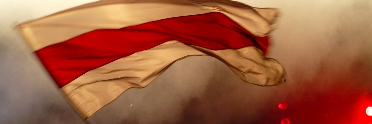 Белорусский партизан banner