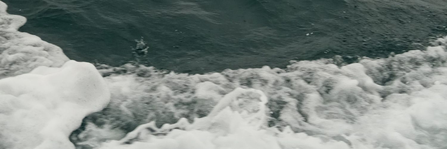 marilynelian's profile banner image