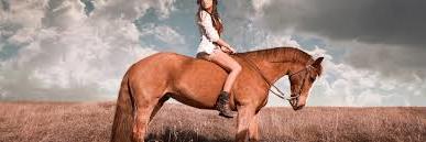 Kaytee_J's profile banner image