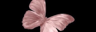 llima_sa's profile banner image