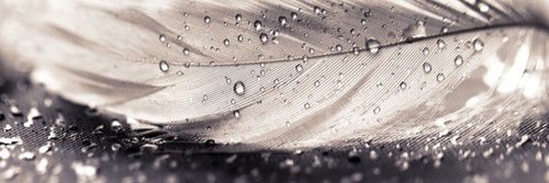 laurazoe89's profile banner image