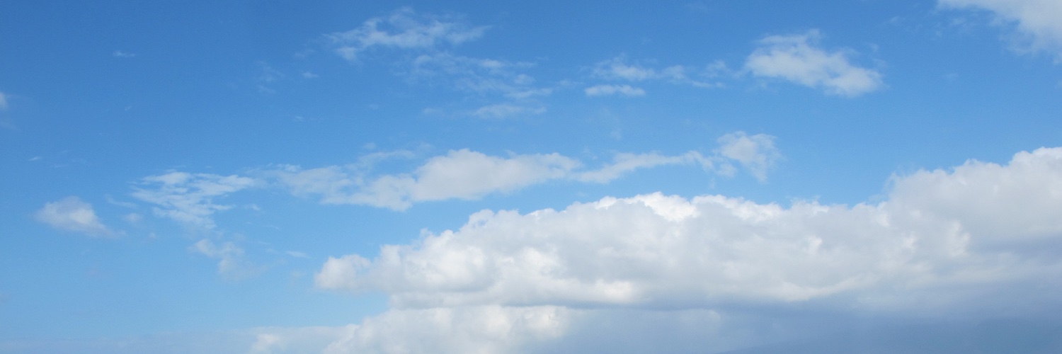 Naoko Aoki banner