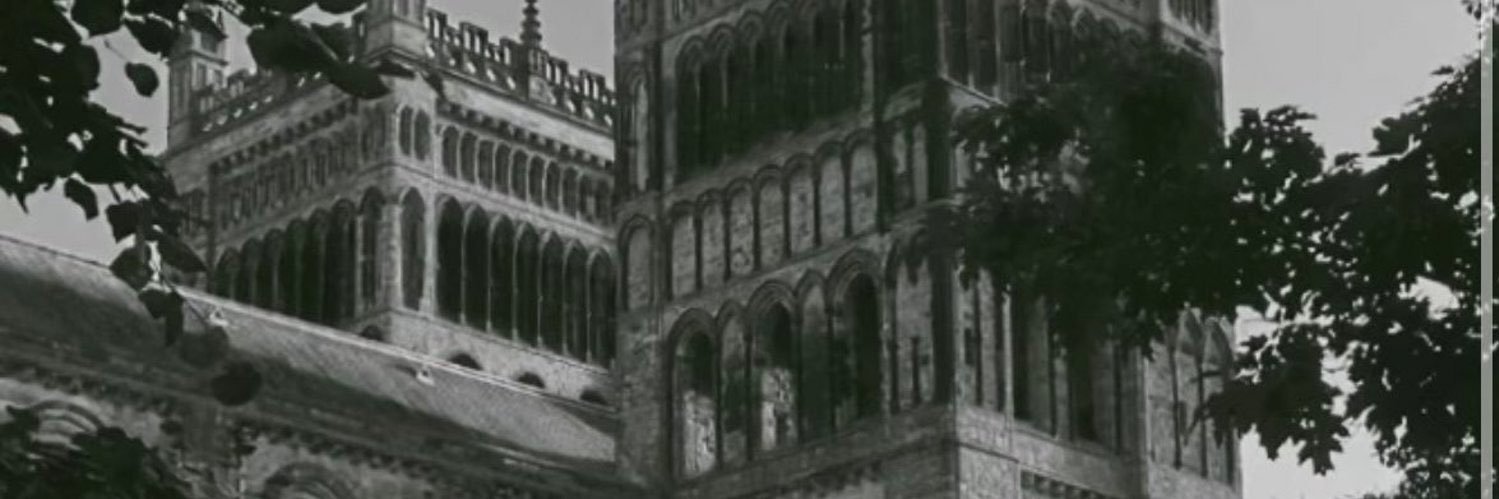 AlexsanderWww's profile banner image