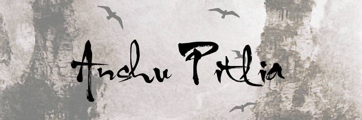 anshupitlia's profile banner image