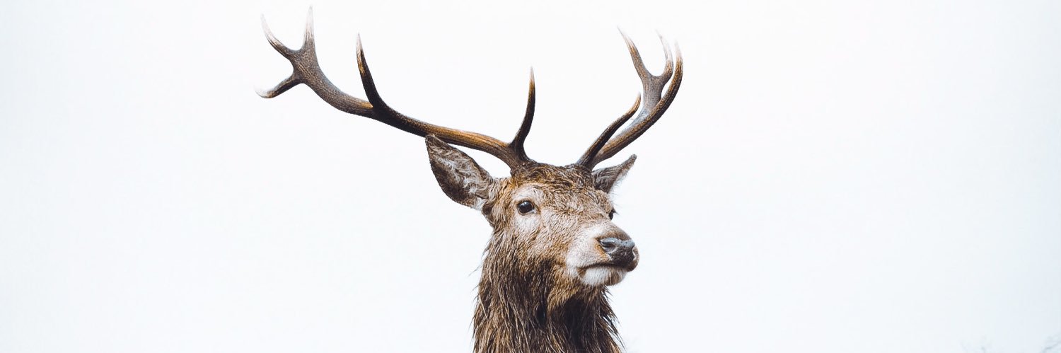 Rabmxd's profile banner image