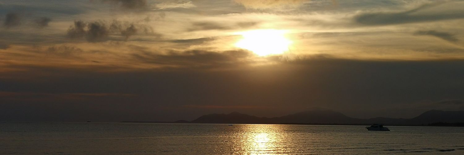 esielic's profile banner image