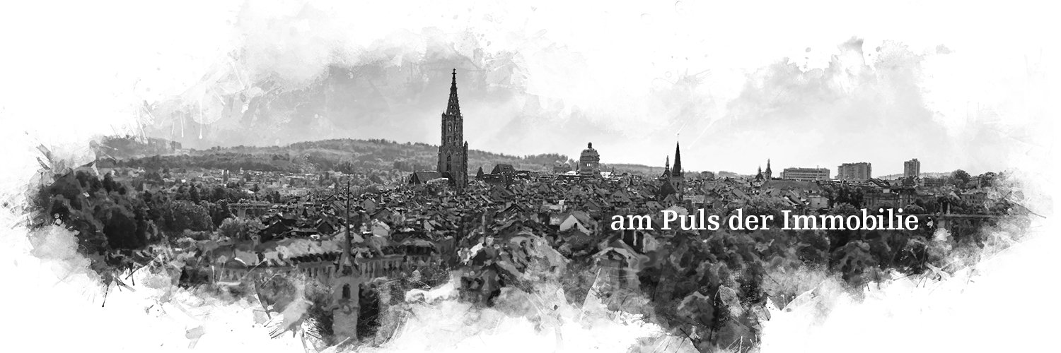 bernadog_ch's profile banner image