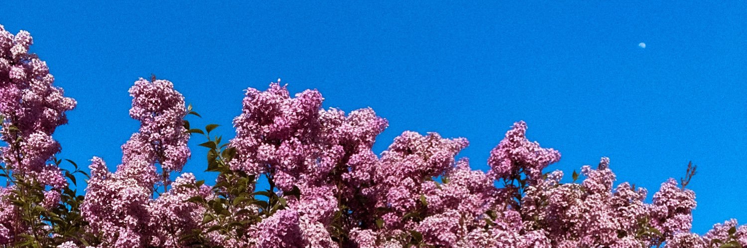 Chazzy🍒 banner