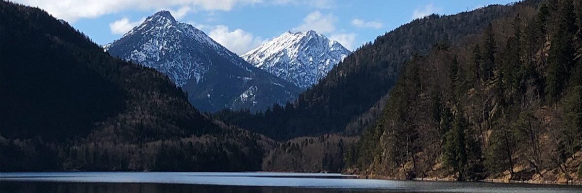 PipeGoicoechea's profile banner image