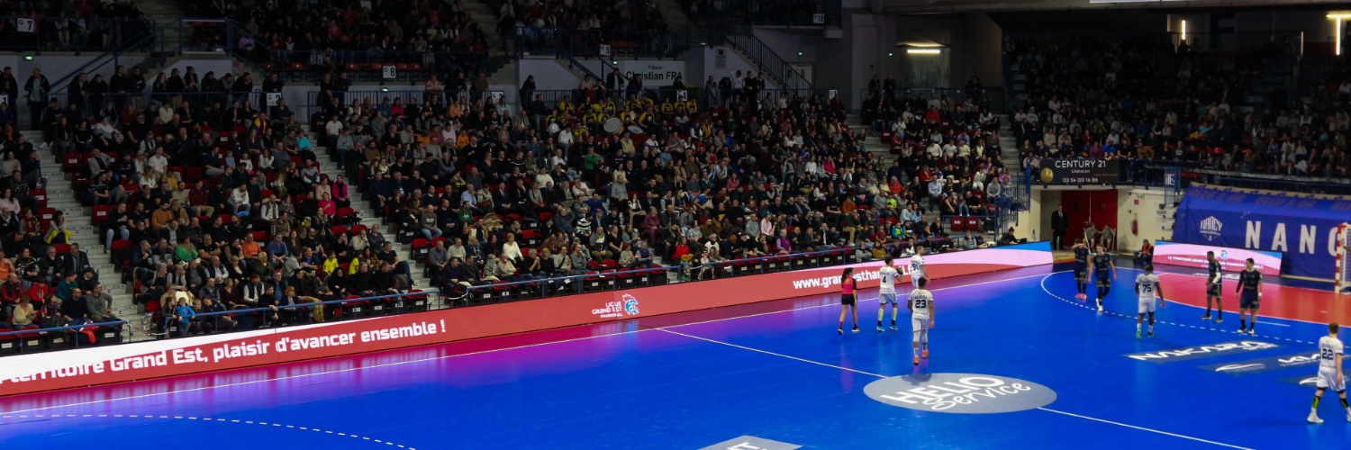 nancy_handball's profile banner image
