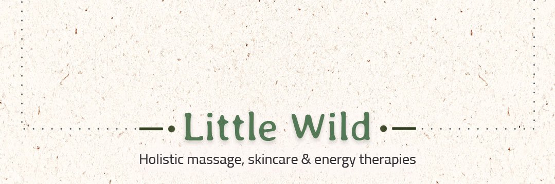 LittleWildSpace's profile banner image