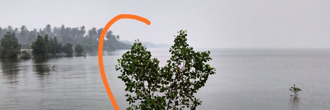 sihenr's profile banner image