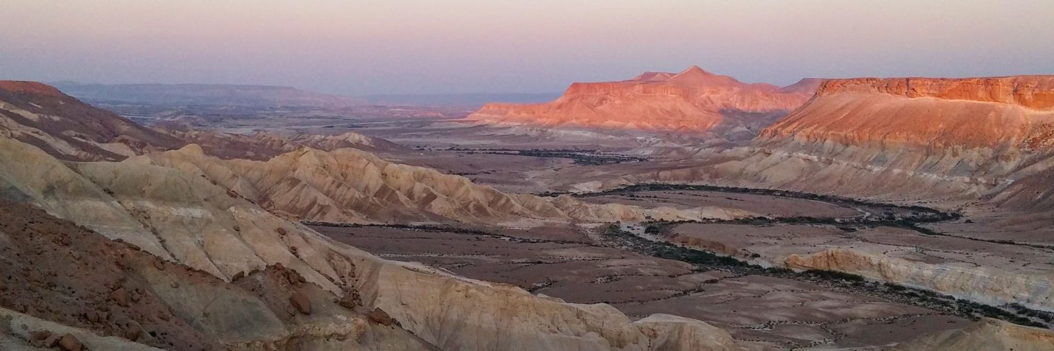 Aaron Shaffier 🕎 banner