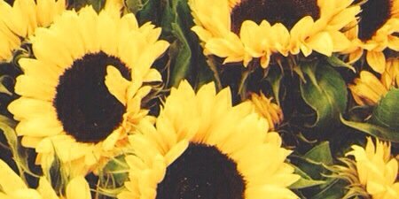 CaitYablonski's profile banner image