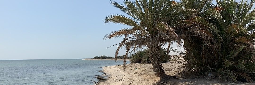 حذام الجبر banner