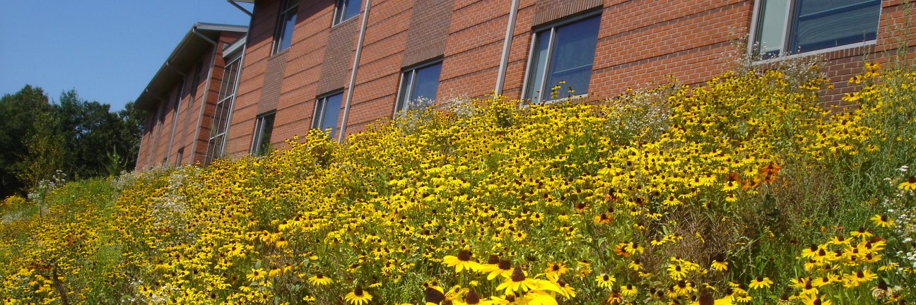 Children's Center for Communication banner