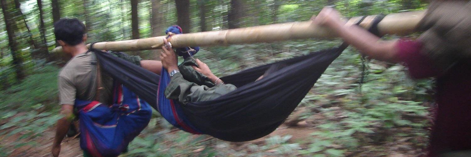 Safeguarding Health banner