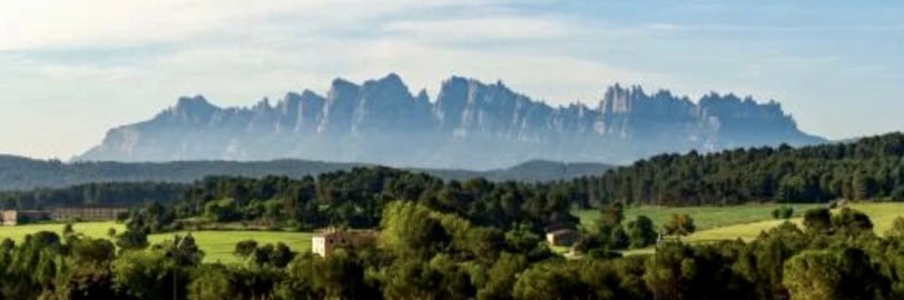 Noemí Pou 🌟💫 banner