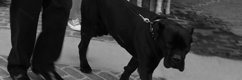 abdlzgl's profile banner image