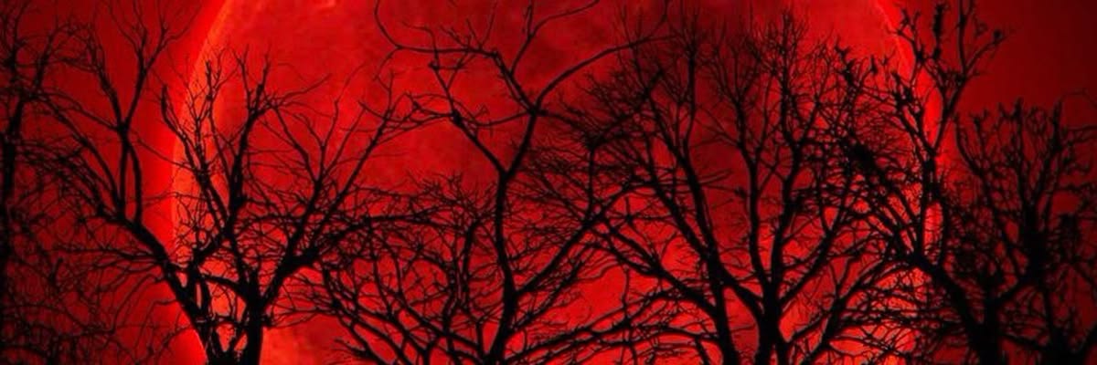 venca_spots's profile banner image