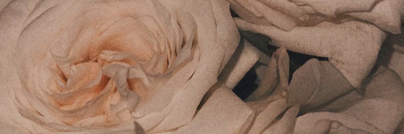 Ghanagbs's profile banner image