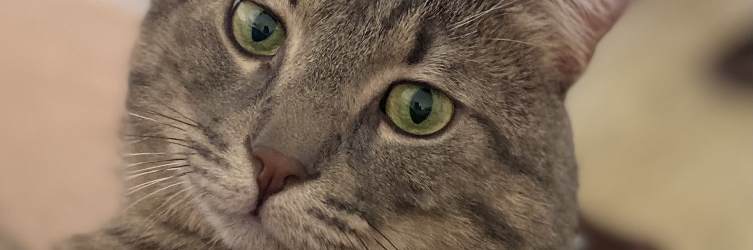 burakircan's profile banner image