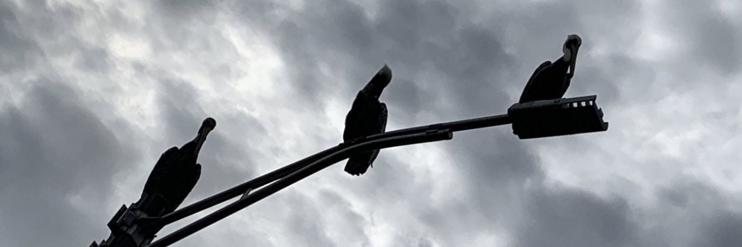 Bermuda Triangle Deli banner