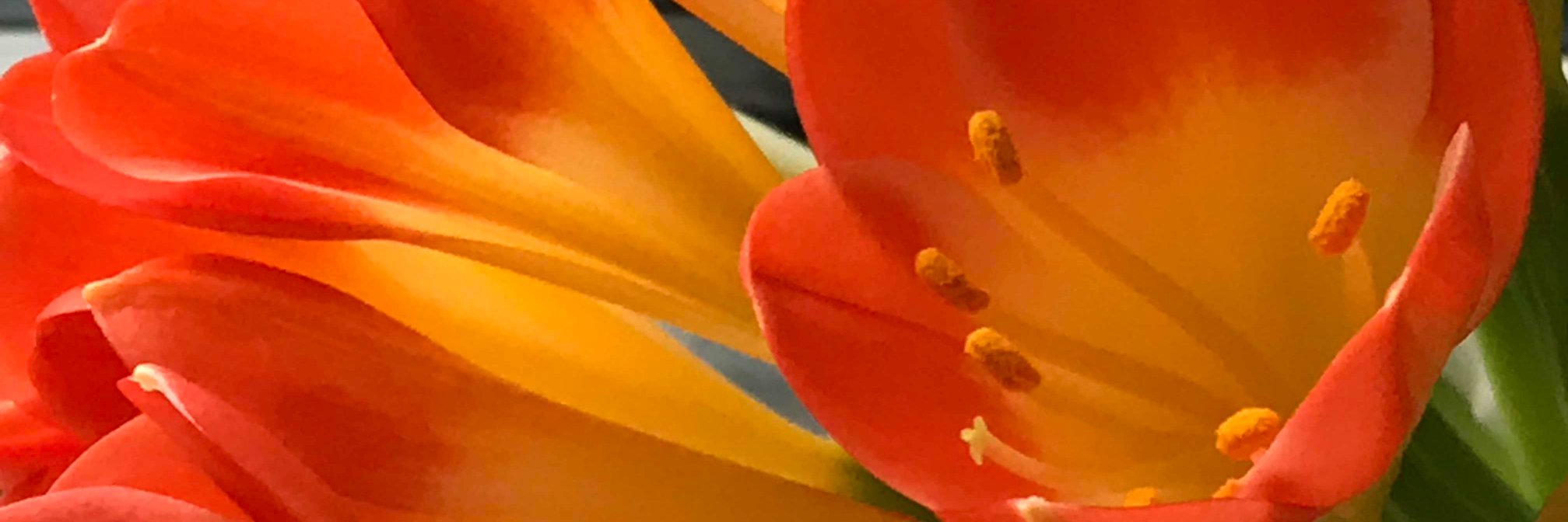 PirjoS's profile banner image
